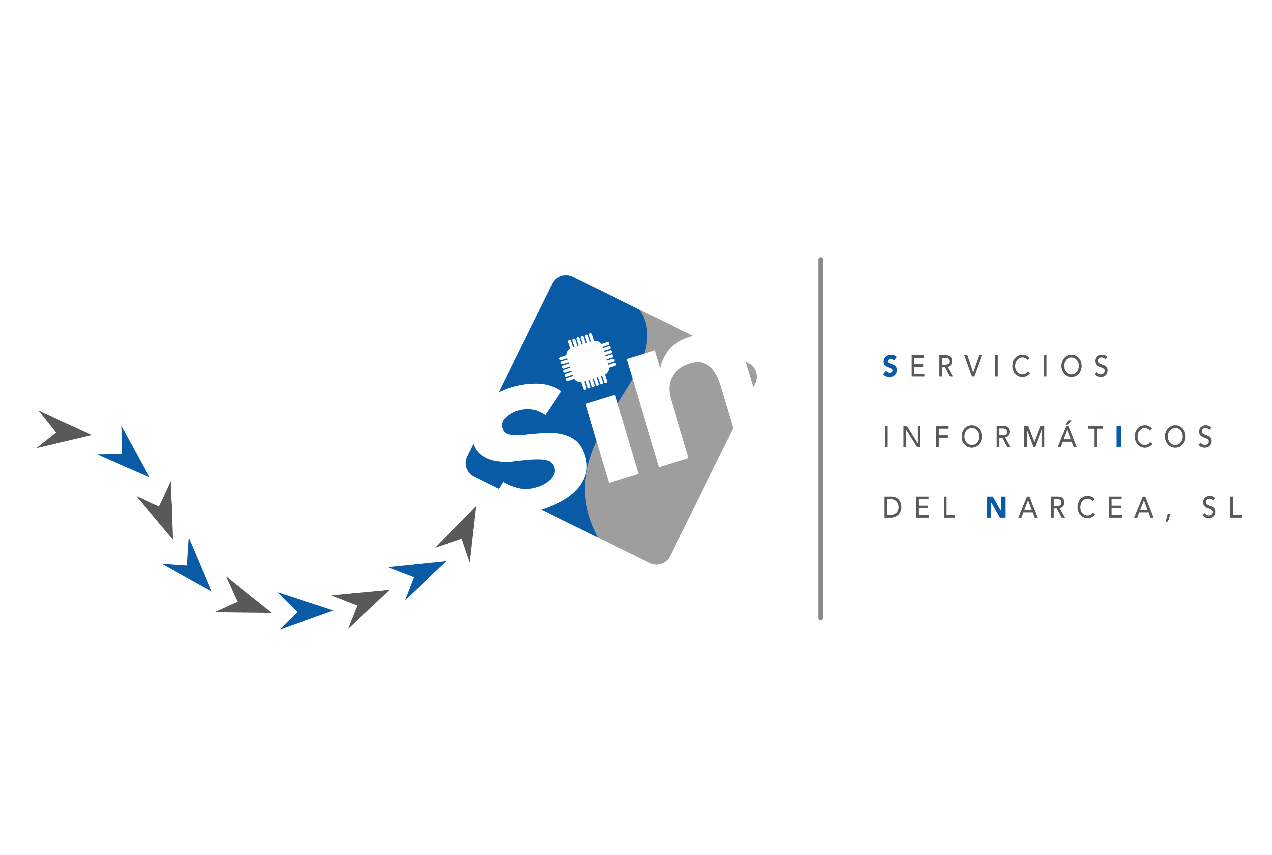 Servicios Informáticos del Narcea S.L.U. - Logo completo
